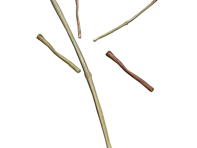 Natural Plant Branches With Slender Yellow And Brown Stems Crossed On White 3d model