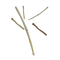 Natural Plant Branches With Slender Yellow And Brown Stems Crossed On White