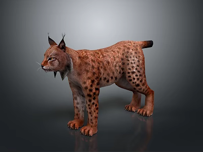 Lynx With Brown Spotted Fur Pointed Ears And Black Tufts Standing On Gray Background 3d model