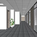Modern Office Corridor Interior With Glass Partitions Wooden Doors Ceiling Lights And Potted Plant