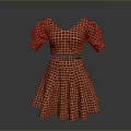 Stylish Two Piece Checkered Outfit With V Neck Puffed Sleeves And Flared Skirt