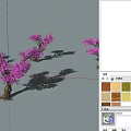 Purple Flowering Bushes With Twisted Trunks And Lush Blossoms On Gray Background