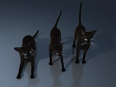 Cat Little Black Cat 3d model Cat Little Black Cat 3d model
