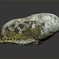 Weathered Rock Surface Covered With Green Moss And Lichen Details
