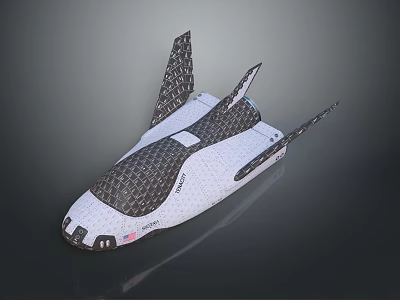 Streamlined 3D Fighter Jet Model With Black White Color And Mesh Texture Wings 3d model