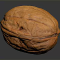 Fresh Orange Walnut With Textured Surface On Dark Background And Natural Reflection 3d model