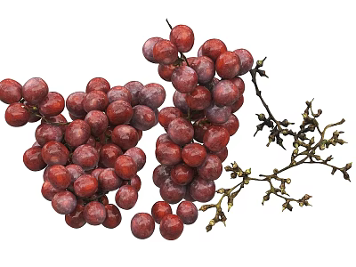 Fresh Ripe Red Grapes Clusters With Green Vines On White Background 3d model