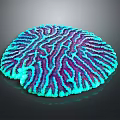 Vibrant Turquoise And Purple Marine Coral Boasting Intricate Circular Surface Texture