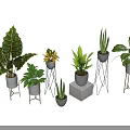 Indoor Plant Combination With Various Leaf Shapes Ceramic Concrete Pots And Metal Stands