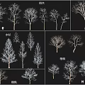 Arbor Trees Featuring Metasequoia Ginkgo Wutong and Various Tree Forms 3d model