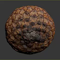 Whole Ripe Jackfruit Displaying Spiky Orange Texture And Brown Stem On Dark Background