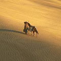 Sunset Over Rolling Desert Sand Dunes With Person Horse And Cloudy Sky