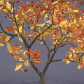Autumn Tree Featuring Orange Yellow Leaves Red Fruits and Fallen Leaves on Gray Background