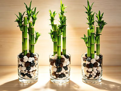 Bamboo Bonsai Plants in Glass Vases with Black and White Pebbles on Wooden Background 3d model