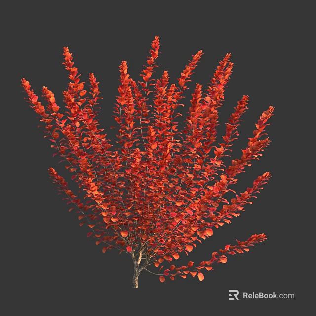 Vibrant Red Leaf Bush With Dense Foliage And Lush Growth 3d model 
