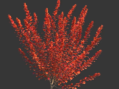 Vibrant Red Leaf Bush With Dense Foliage And Lush Growth 3d model