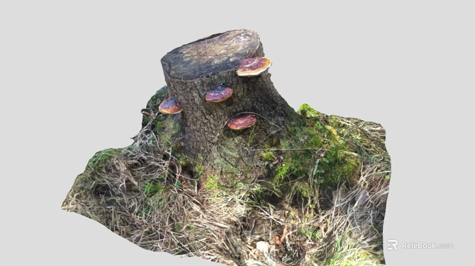 Old Tree Stump With Red Mushrooms And Green Moss In Dry Grass 3d model 