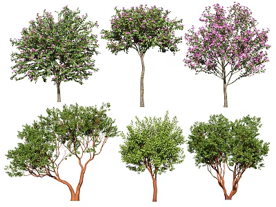 Ornamental Arbor Trees with Colorful Blooms Green Foliage and Red Trunks for Garden Landscaping 3d model