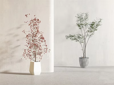 Modern Bonsai 3d model