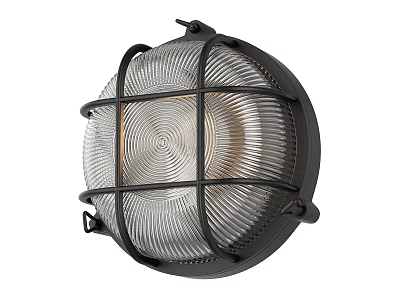Industrial Style Wall Light With Black Metal Grid And Clear Glass Shade 3d model