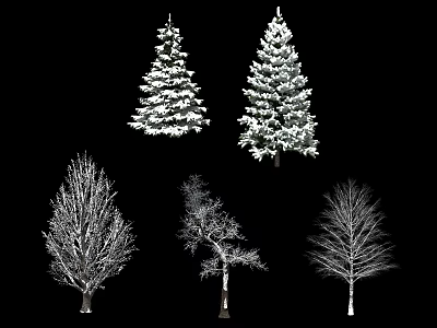 Various Types Of Snow Covered Arbor Trees With Different Shapes On Black Background 3d model