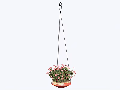 Hanging Potted Plant with Pink Flowers and Green Leaves for Home Decoration 3d model