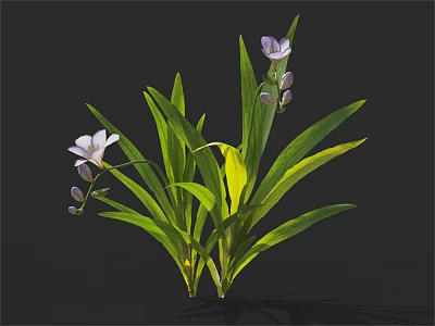 Two Plants With Long Green Leaves And Light Purple Small Flowers 3d model