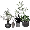 Decorative Vases with Assorted Shapes and Materials Holding Green Foliage and Branches for Indoor Decoration