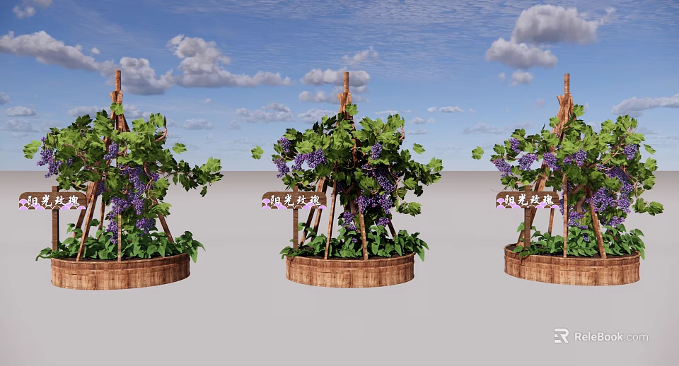 Garden Landscape With Wooden Trellis Grape Vines Purple Grapes And Barrel Planters 3d model 