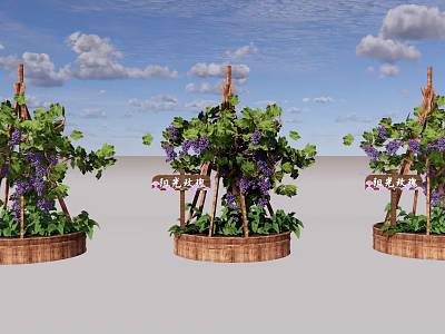 Garden Landscape With Wooden Trellis Grape Vines Purple Grapes And Barrel Planters 3d model