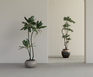 potted plant green plant potted plant ornaments 3d model