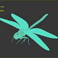 Green Yellow Dragonfly With Blue Spotted Abdomen And Transparent Wings On Gray Background