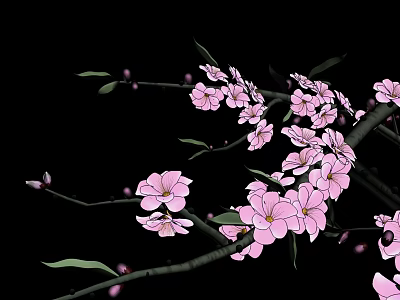 Vibrant Flowering Tree with Pink Blossoms and Green Leaves on Black Background 3d model