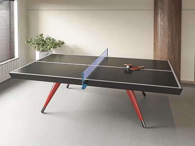 modern table tennis table tennis room 3d model