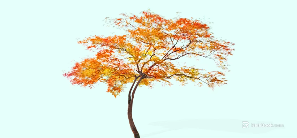 Tall Tree with Vibrant Orange and Yellow Autumn Leaves and Spreading Branches 3d model 