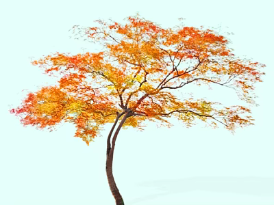 Tall Tree with Vibrant Orange and Yellow Autumn Leaves and Spreading Branches 3d model