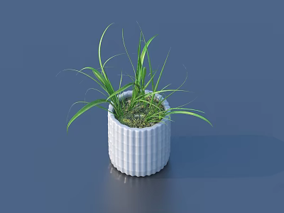 Bonsai Potted Plant with Green Grass like Leaves in White Striped Pot 3d model