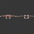Male and Female Human Anatomical Models with Visible Organs Hair and Detailed Muscle Structure