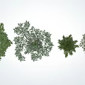 modern tree landscape tree arbor 3d model