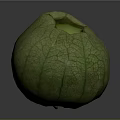 Fresh Green Fruit With Cracked Surface And Hollow Light Green Interior