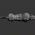 Realistic White Reptile 3D Model Standing On Black Background With Reflection 3d model