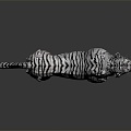 Modern Tiger White Tiger White Tiger 3d model