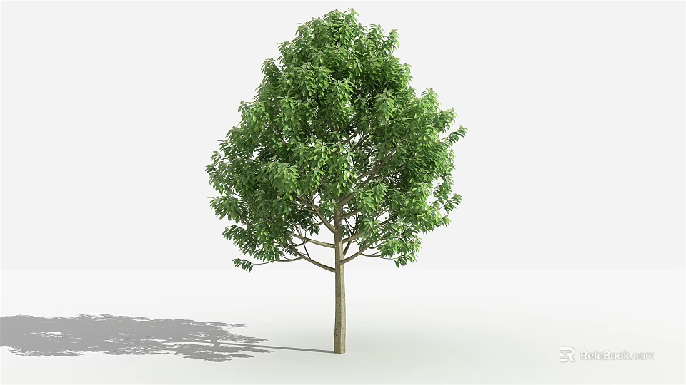 Healthy Green Leafy Tree With Brown Trunk And Natural Shadow 3d model