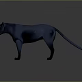 Realistic Black Panther 3D Model with Standing Pose on Dark Background