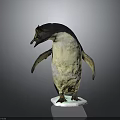 Black and White Penguin Standing on White Base with Gray Background 3d model