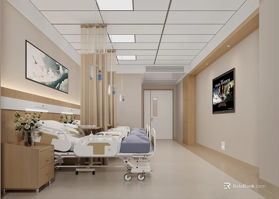 Modern Hospital Outpatient Clinic Interior With Beds Flowers And TV 3d model 