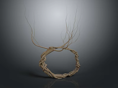 Plant Roots Woven into Natural Brown Ring on Gray Gradient Background with Light Shadow Effect 3d model