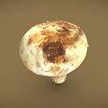 Fresh Natural Mushroom With White Cap Brown Spots And Smooth Stem On Plain Brown Background