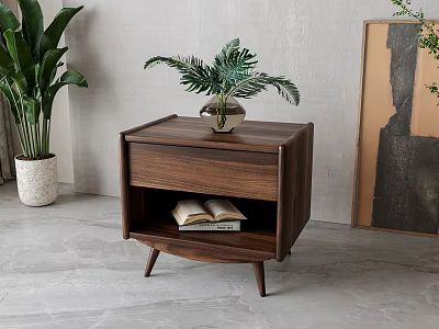 Modern Walnut Nightstand with Drawer Books Under Potted Plant on Top Near Large Plant Artwork 3d model