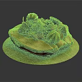 Natural Plant Arrangement With Green Fruits Red Berries Honeycomb Elements On Wooden Base